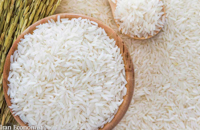 فقط 15 میلیون ایرانی می توانند برنج بخورند