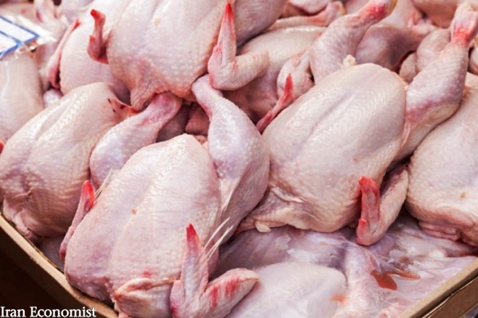 توافق برای ترانزیت و ترخیص مرغ‌های وارداتیتوافق برای ترانزیت و ترخیص مرغ‌های وارداتی