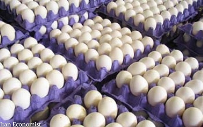 صادرات تخم مرغ متوقف شد    ۲۲ خرداد ۱۴۰۰ - ۱۳:۵۰ اخبار اقتصادی اخبار کشاورزی صادرات تخم مرغ متوقف شد