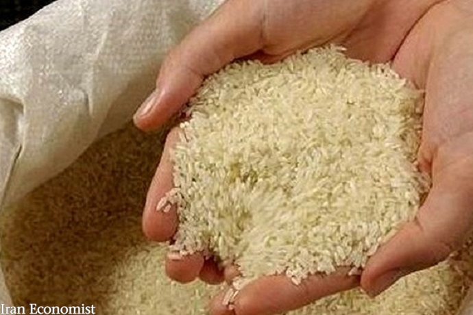 دبیر انجمن واردکنندگان برنج مطرح کرداحتمال کمبود برنج خارجی در کشور/مخالفت وزارت جهاد با حذف دوره ممنوعیت واردات برنجاحتمال کمبود برنج خارجی در کشور/مخالفت وزارت جهاد با حذف دوره ممنوعیت واردات برنج
