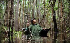 3 حقیقت باورنکردنی در مورد جنگل های بارانی آمازون،