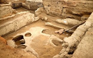 دانلود عکس/ باستان‌شناسان به ماهیت اصلی بقایای اسفنج ۸۶۰۰ ساله‌ پی بردند