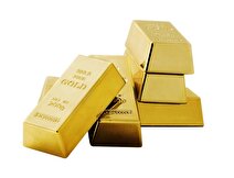 وی اولین کالای وارداتی به کشور است