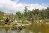 bagh parandegan-1
