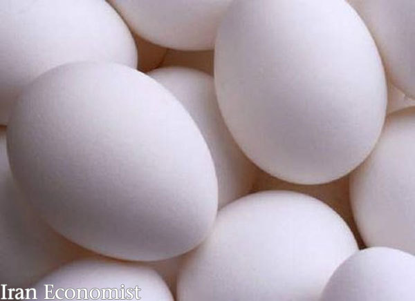 افزایش ۱۰۰ درصدی واردات تخم مرغ به کشور