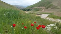 روستای آبخور دیار آفتاب