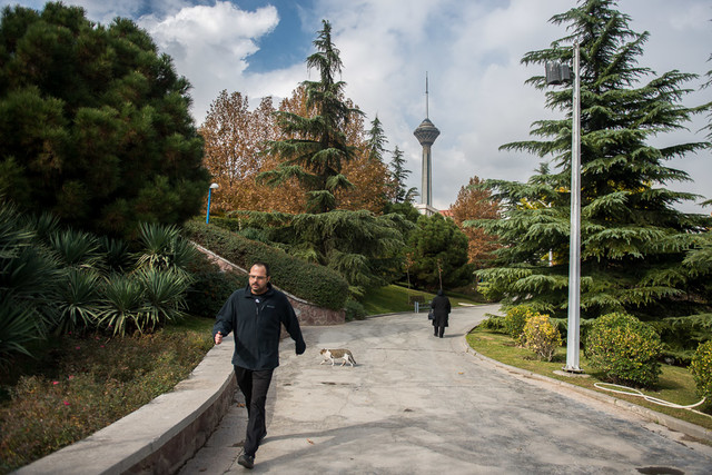 هوای تهران پاک و همراه با وزش باد است