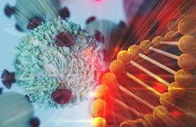 تخم مرغ&zwnj;های اصلاح ژنتیک شده؛ نسل تازه دارو&zwnj;های طبیعی درمان سرطان