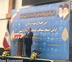 سلطانی‌فر: پس از انقلاب پروژه‌های ورزشی ۱۵ برابر شده است