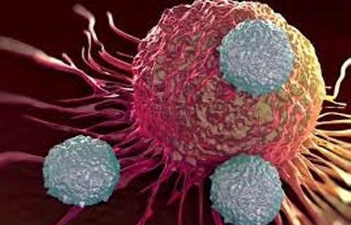 آنچه که لازم است درباره سرطان بدانید/انواع سرطان در بافت‌های مختلف بدن