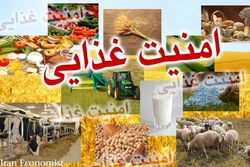 برخلاف نظر تحریم کنندگان، مشکلی در تامین مواد غذایی نداریم