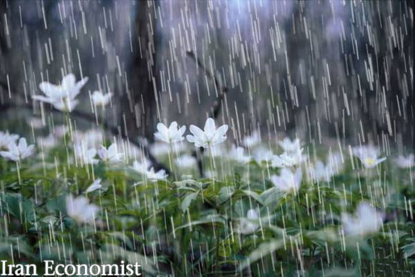 افزایش ۱۲۱ درصدی بارش نسبت به سال گذشته/افزایش دما در راه است