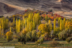 تصاویر: ایران زیباست؛ پاییز در روستای «حسنجون»