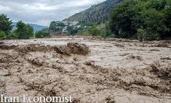 اعزام نمایندگان بیمه مرکزی به مناطق سیل زده