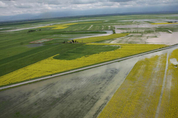 خسارت ۹۳ میلیاردی سیلاب به کشاورزی بروجرد