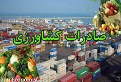 صادرات محصولات کشاورزی کاهش یافت