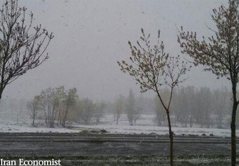 امروز: بارش برف در چالدران (عکس)