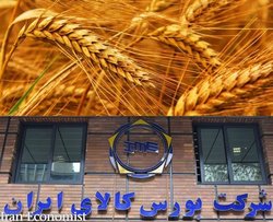 بورس کالا راهگشای ساماندهی محصولات کشاورزی است
