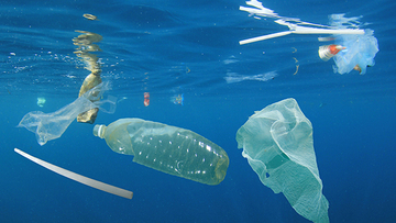 ساخت جانشینی از دل طبیعت برای پلاستیک‌ها