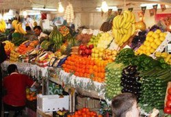 آرامش حاکم بر بازار میوه های نوبرانه پاییزی