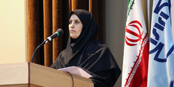 بررسی برنامه توقف تولید ۲ خودرو در شورای عالی استاندارد