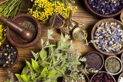 ارزش صادرات گیاهان دارویی مرتعی به ۱۰۰ میلیون دلار رسید