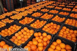 پرتقال‌های موجود در بازار رنگ می‌شوند؟