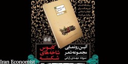 رونمایی از مجموعه شعر عاشورایی «کابوس شاخه‌های شکسته»