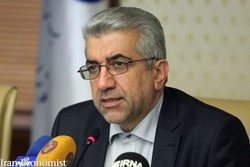 وزیر نیرو بر پایبندی به  الگوی مناسب مصرف تاکید کرد