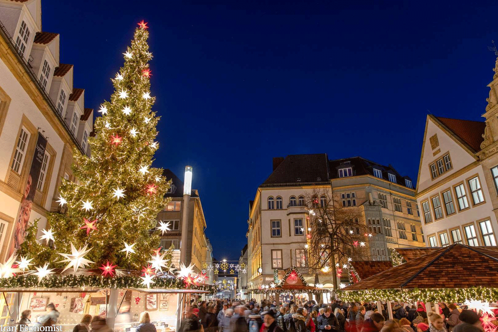 درختان کریسمس خیره کننده در سراسر جهان