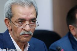 شافعی: ۷۴ درصد بودجه کشور متعلق به شرکت‌های دولتی زیان‌ده است