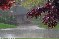 ارزیابی میزان باران در سومین ماه سال آبی جدید