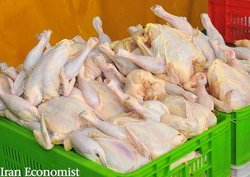 ثبات نرخ مرغ در بازار