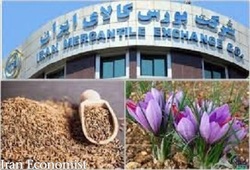 بازار ۲۷۹۷ میلیارد ریالی قراردادهای آتی در بورس کالا