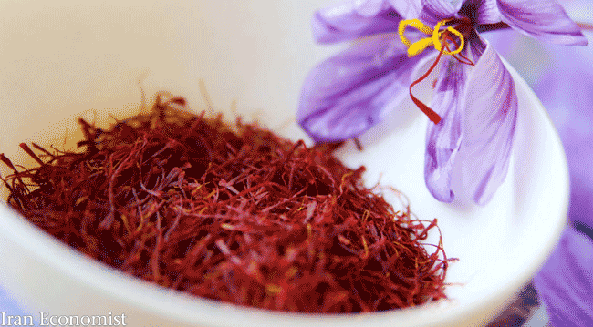 طلای سرخ با افزایش 10 تا 15 در صدی تولید شد