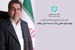 دولت باید حامی بانک توسعه تعاون باشد