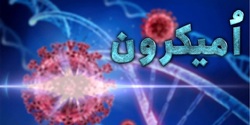 هشدارها درباره گردش امیکرون در کشور