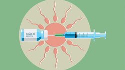 آیا واکسن‌های کرونا بر باروری تاثیری می‌گذارند؟