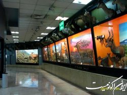 استقبال از روز طبیعت در موزه ملی تاریخ طبیعی