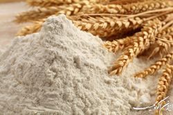 گندم وارد می‌کنیم و آرد یارانه‌ای به صنایع می‌دهیم