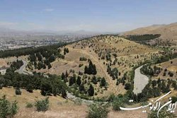 بوستانهای شرق تهران آماده میزبانی از شهروندان در روز طبیعت
