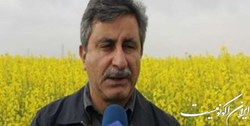 4 برنامه وزارت جهاد کشاورزی برای افزایش نفوذ فن آوری در کاهش مصرف آب