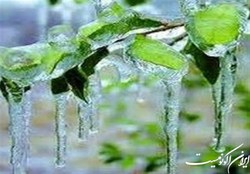 هواشناسی ایران ۱۴۰۱ ۰۱ ۱۵؛ کاهش ۱۲ درجه‌ای دما در برخی استان‌ها