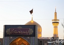 چهارشنبه‌های امام‌رضایی؛ آقای غریبم! چقدر این روزها دلم بی‌تاب است