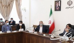 قیمت گوشت منجمد دولتی در بازار کاهش یافت
