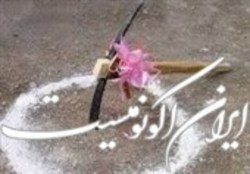 قیمت گوشت منجمد دولتی کاهش یافت
