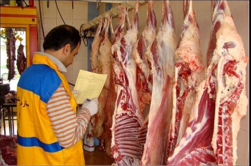 قیمت گوشت منجمد دولتی کاهش یافت
