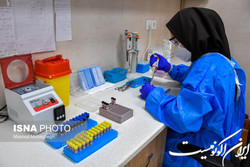 ۲۲ مرکز آزمایشگاهی پیام نور عضو شبکه آزمایشگاهی معاونت علمی ریاست جمهوری شدند