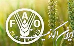 ثبت رکورد جدید در قیمت جهانی موادغذایی
