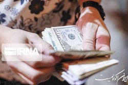 حذف رانت و ایجاد تعادل در قیمت‌ها با حذف ارز ترجیحی
